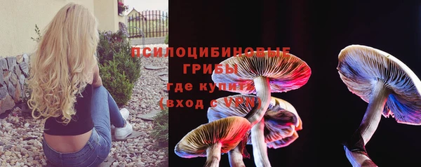 спиды Заводоуковск
