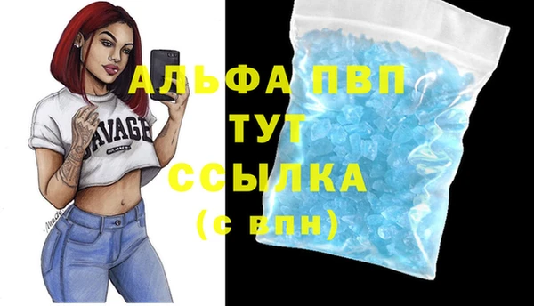 соль ск Заволжск