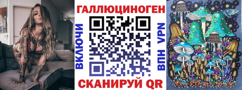 Псилоцибиновые грибы Psilocybine cubensis  Северодвинск 
